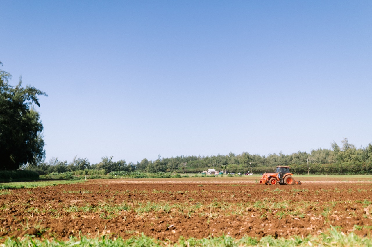 A tractor working a Camelina field on Hawaiian land