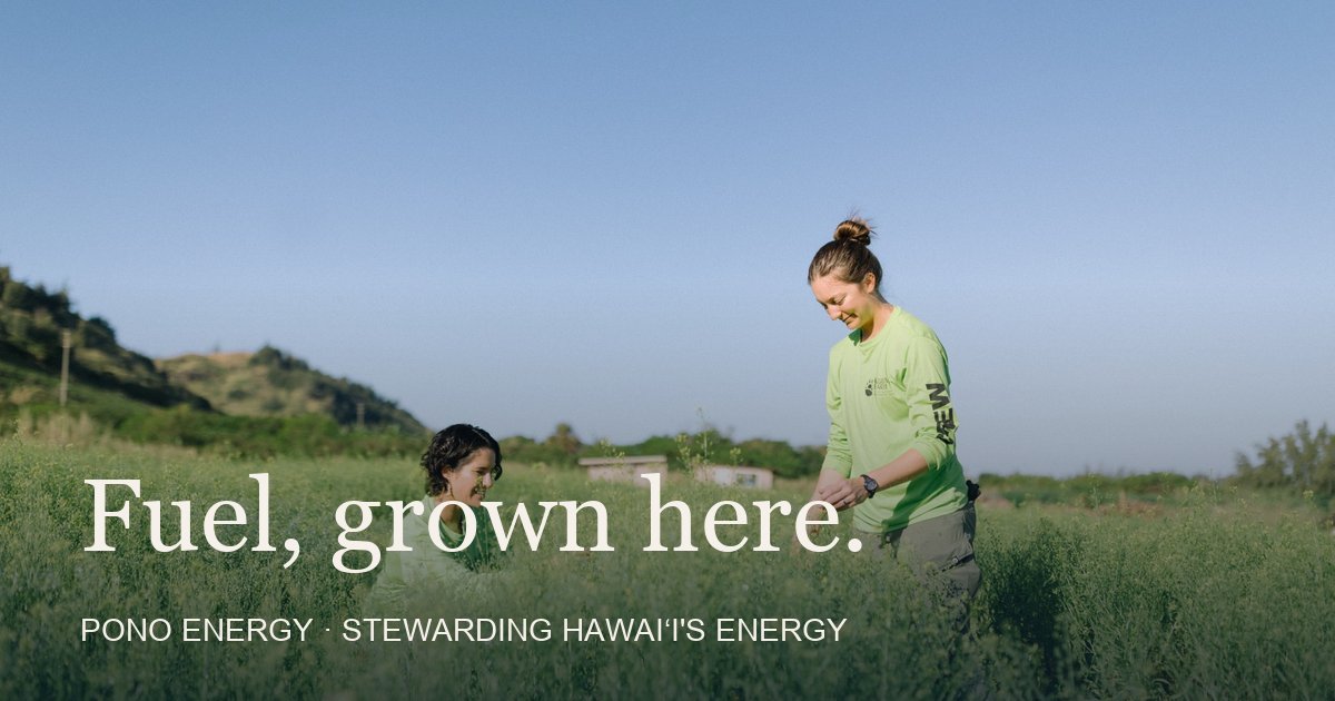 Manoa Rd Energy Pono Energy — Renewable fuel, grown here.